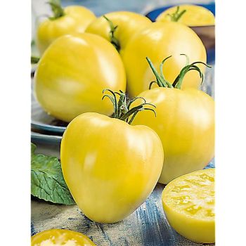 TOMATE CŒUR DE BŒUF BLANC 2