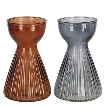 VASE à AMARYLLIS VERRE