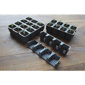 KIT RÉUSSITE RAPIDE