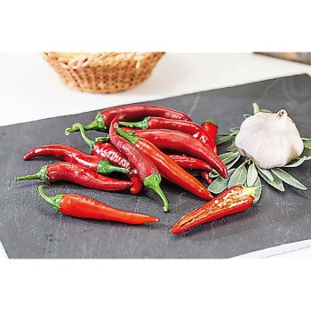 PIMENT ACRATA (c. annum)