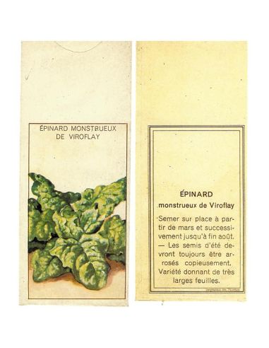 CADEAU 1 PLANTE SURPRISE CADEAU 1 PLANTE SURPRISE