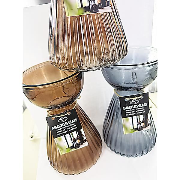 VASE à AMARYLLIS VERRE