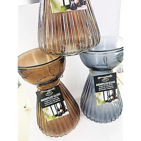 VASE à AMARYLLIS VERRE