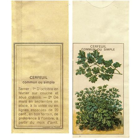 CERFEUIL d'HIVER VERTISSIMO