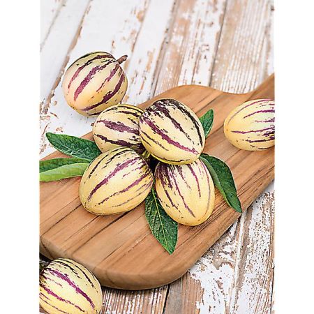 POIRE-MELON (solanum muricatum) PÉPINO