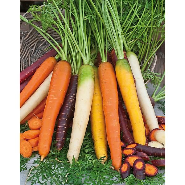 CAROTTE BAUMAUX COLORMIX®