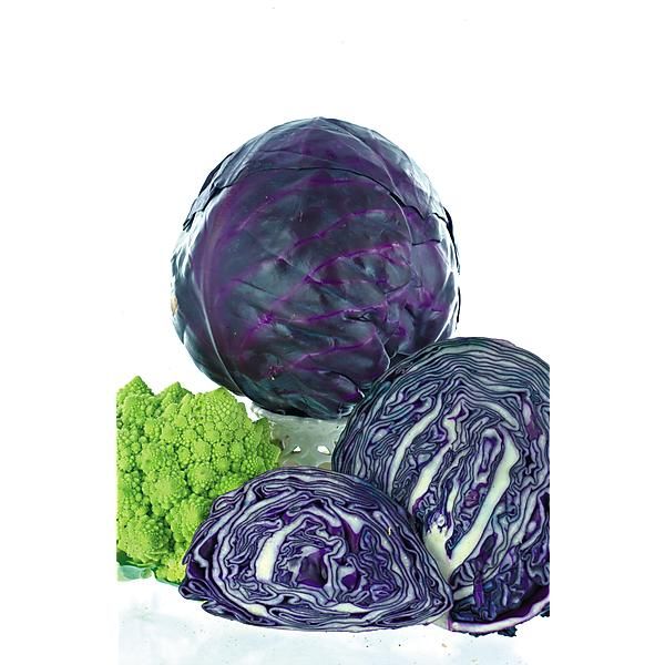 CHOU cabus rouge F1 KLIMARO