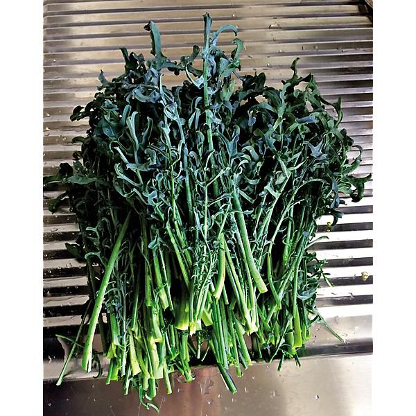 CHOU-BROCOLI MINESTRA NERA RICCIA