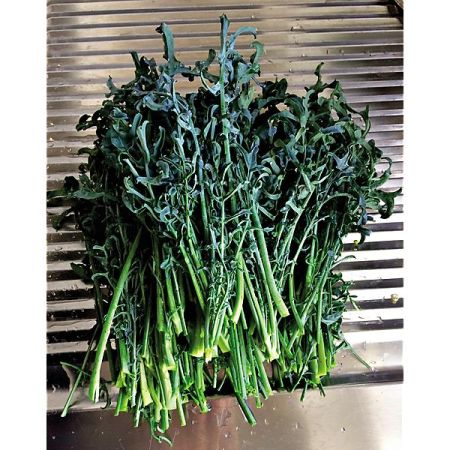 CHOU-BROCOLI MINESTRA NERA RICCIA