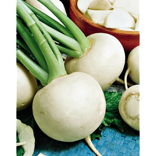 NAVET BOLA de NEVE ou boule de neige