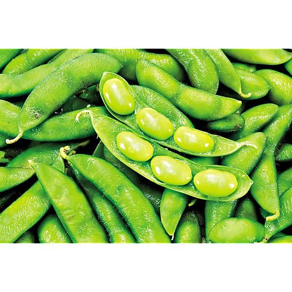 SOJA POTAGER ou EDAMAME DAME JUNKO obtention...