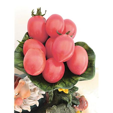 TOMATE PINK THAI EGG