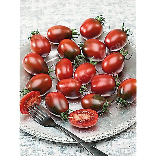 TOMATE BELLARUBIN