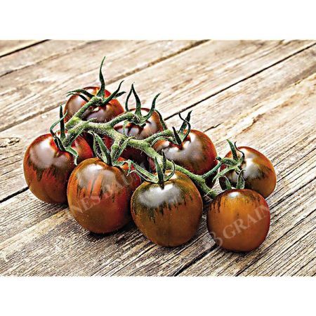 TOMATE BELLARUBIN