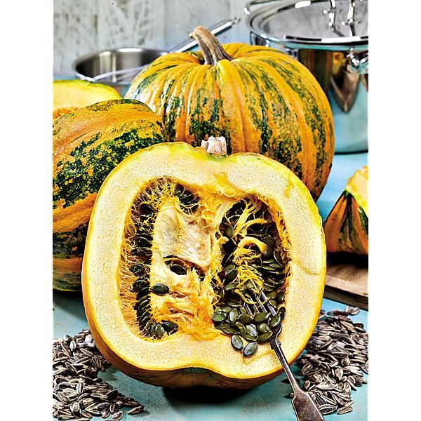 COURGE GLEISDORFER