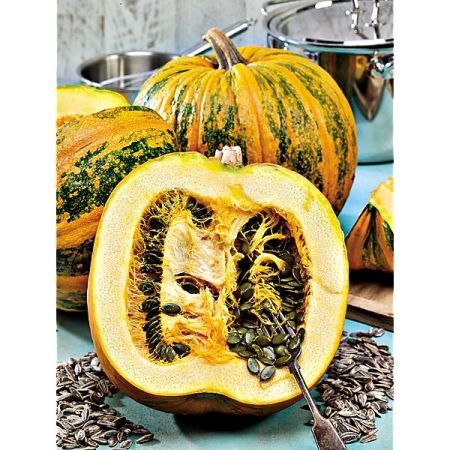 COURGE GLEISDORFER