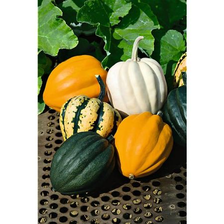 COURGE TABLE MIX