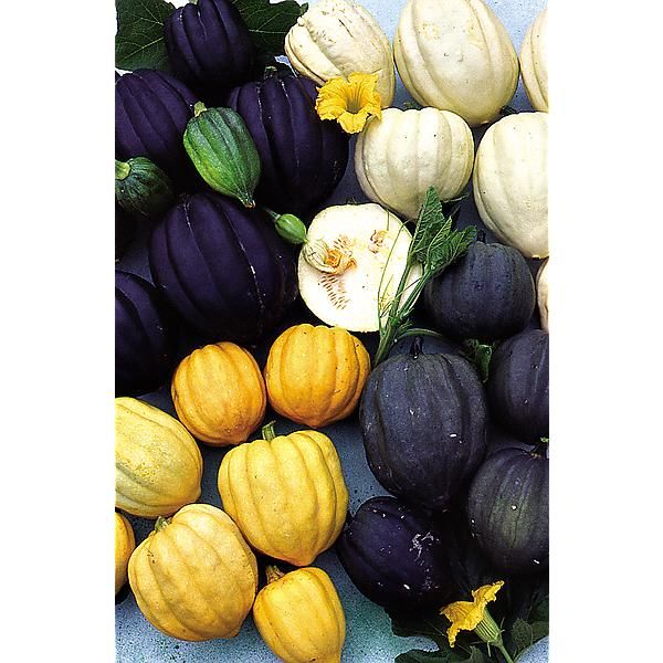 COURGE TABLE MIX