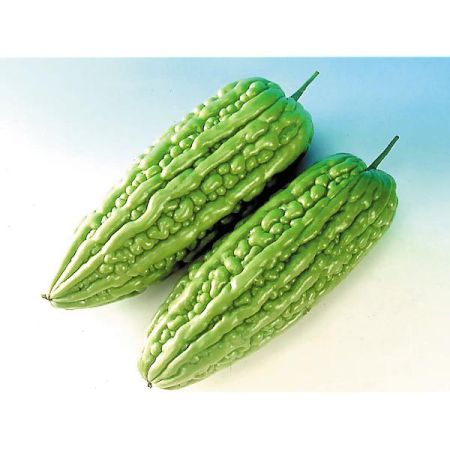 POIRE de MERVEILLE F1 VERDURE (momordica)