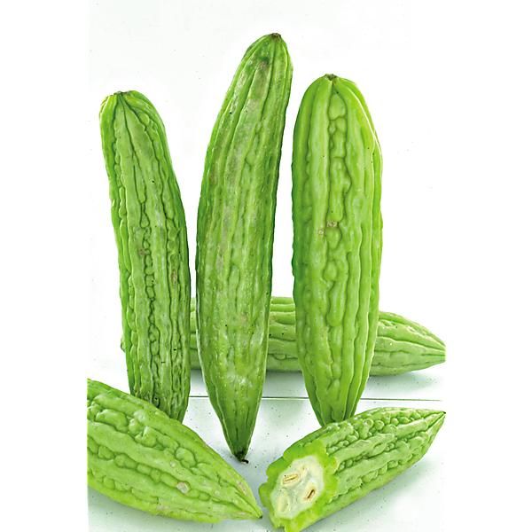 POIRE de MERVEILLE F1 VERDURE (momordica)