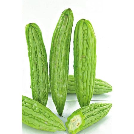 POIRE de MERVEILLE F1 VERDURE (momordica)