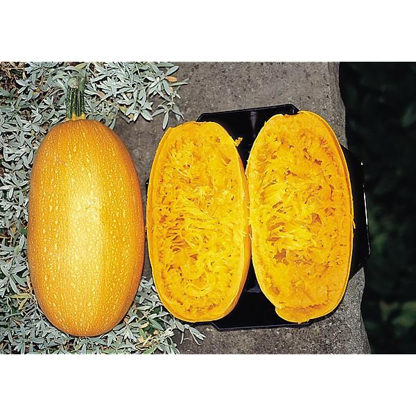 COURGE MAKARONOWA WARSZAWSKA