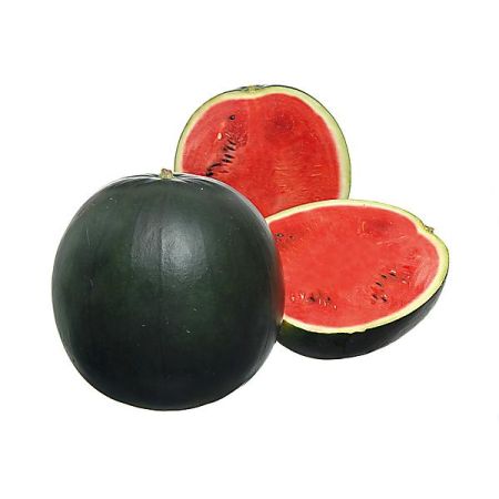 PASTÈQUE F1 FIRE BALL obtention SAKATA®