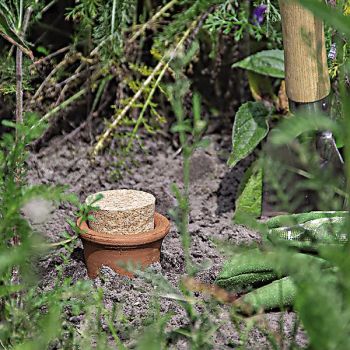 OLLA POT d’IRRIGATION en terre cuite 1,9 litre 2
