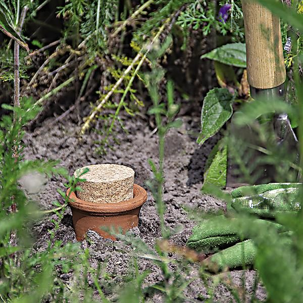OLLA POT d’IRRIGATION en terre cuite 1,9 litre