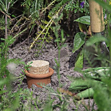 OLLA POT d’IRRIGATION en terre cuite 1,9 litre
