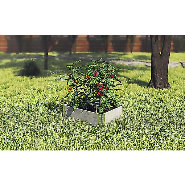 GARDEN BOX PRO 80 x 60 cm