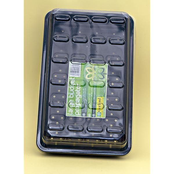 BUDGET PROPAGATORS LARGE BUDGET
