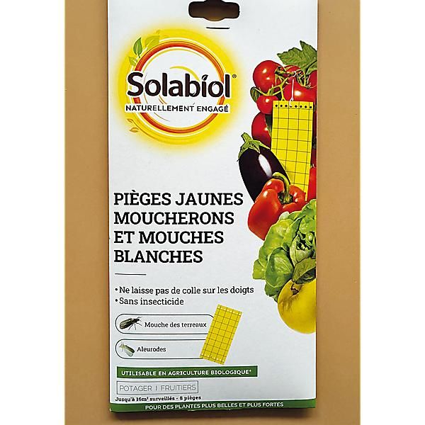 PIÈGES JAUNES AUTOCOLLANTS