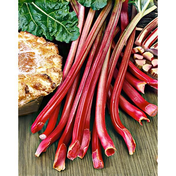 RHUBARBE FULTON'S STRAWBERRY SURPRISE