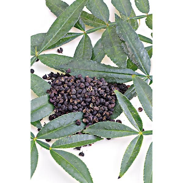 POIVRIER de TIMUT (z. armatum)