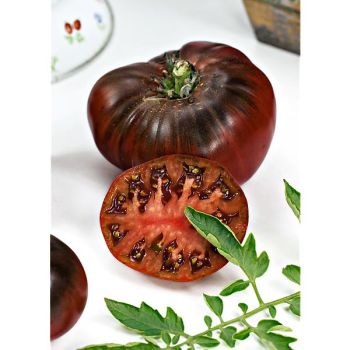 TOMATE NOIRE DE CRIMÉE sélection YALTA