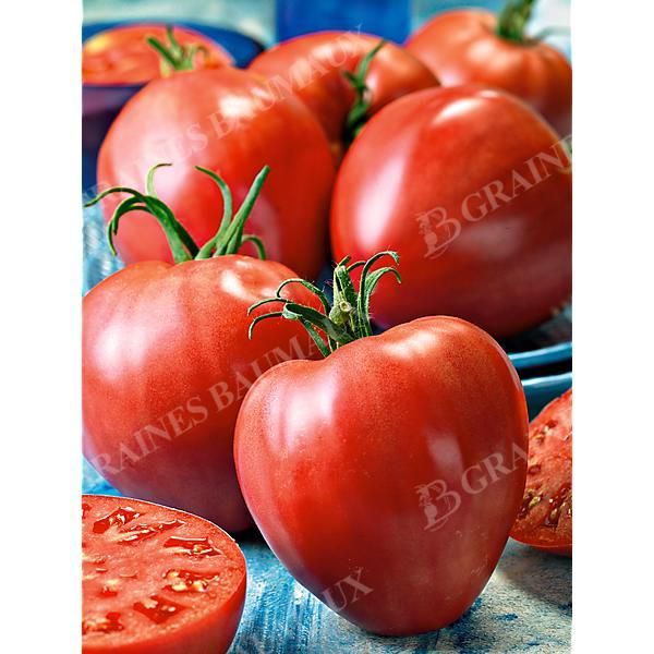 TOMATE CŒURDETORO® (F1 AS de CŒUR)