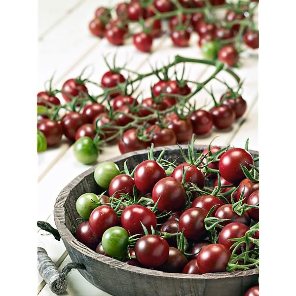 TOMATE cerise BLACK CHERRY