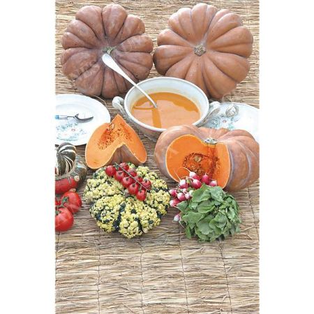 COURGE musquée MUSCADE de PROVENCE Bio