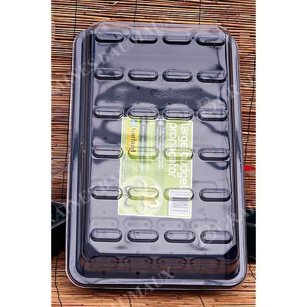 BUDGET PROPAGATORS LARGE BUDGET