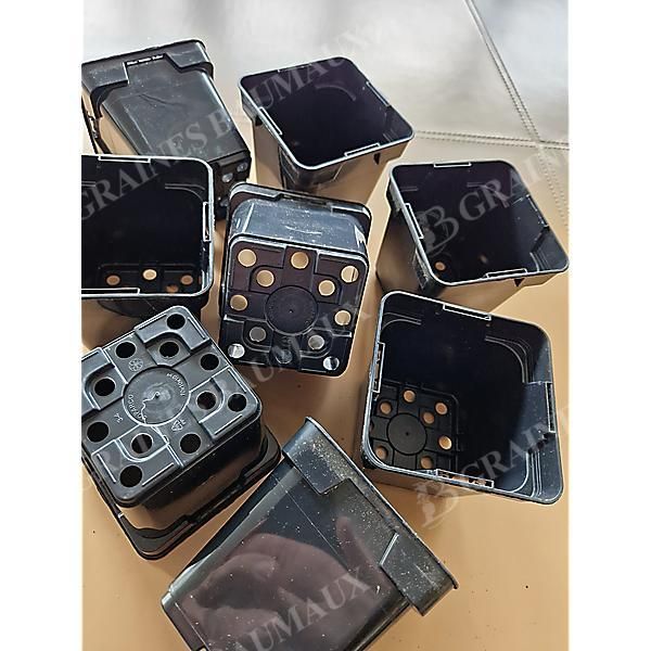 GODETS CARRÉS 10 x 10 cm de côté