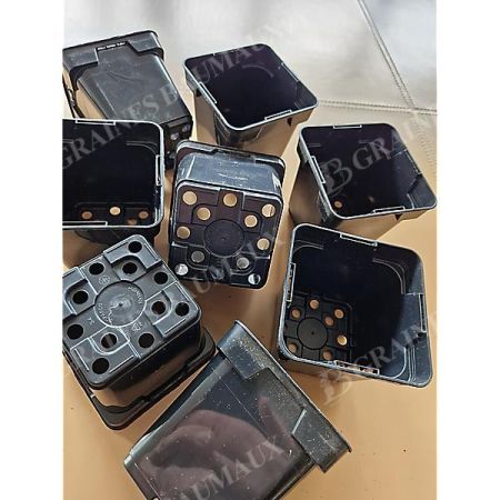 GODETS CARRÉS 10 x 10 cm de côté