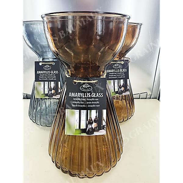 VASE à AMARYLLIS VERRE