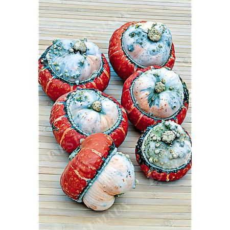 GIRAUMON MINI RED TURBAN