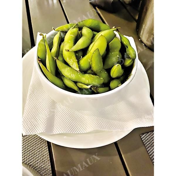 SOJA POTAGER ou EDAMAME DAME JUNKO obtention...