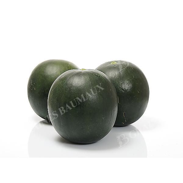 PASTÈQUE F1 FIRE BALL obtention SAKATA®