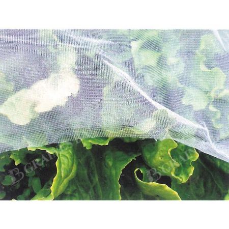 INSECTICIDES BIO
