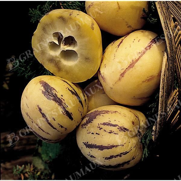 POIRE-MELON COPA®
