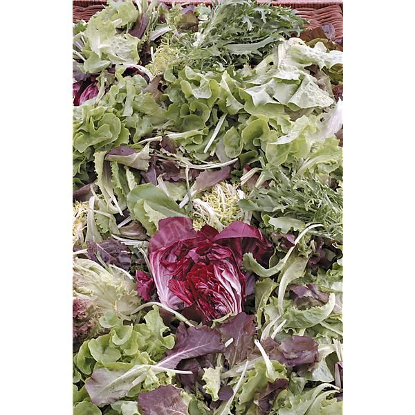 MÉLANGE des 4 SAISONS