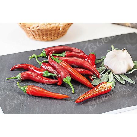PIMENT ACRATA (c. annum)